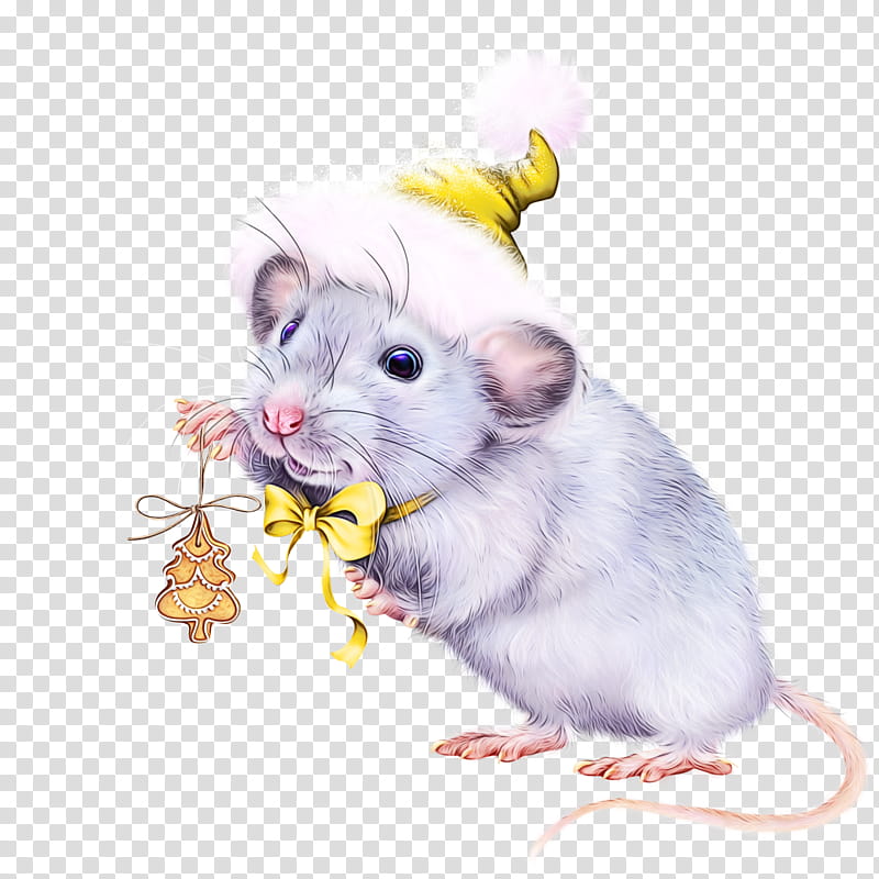 Hamster, Watercolor, Paint, Wet Ink, Mouse, Rat, Muridae, Muroidea, Gerbil, Pest transparent background PNG clipart