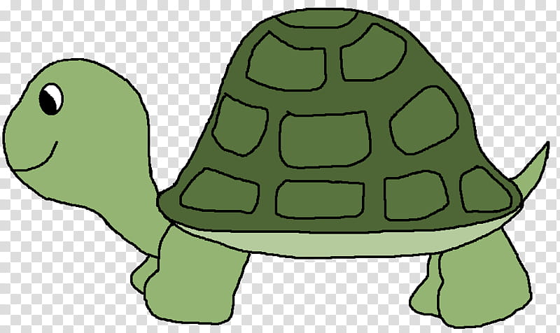 Sea Turtle, Green Sea Turtle, Common Snapping Turtle, Animal, Turtle Cartoon, Document, Turtle Shell, Tortoise transparent background PNG clipart