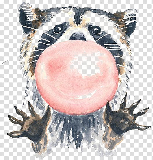 Art Abstract, Watercolor Painting, Raccoon, Watercolor Animals, Drawing, Work Of Art, Watercolour Flowers, Illustrator transparent background PNG clipart