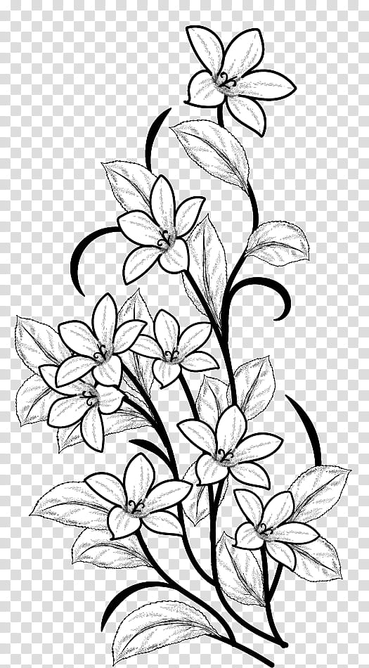 Flowers Decorative Brusheshy, white and black flower illustration transparent background PNG clipart