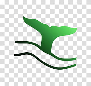 Green Leaf Logo, Line, Symbol transparent background PNG clipart thumbnail