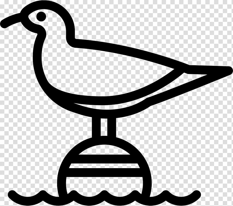 Bird Line Drawing, Gulls, Duck, Animal, Logo, Black And White
, Beak, Water Bird transparent background PNG clipart