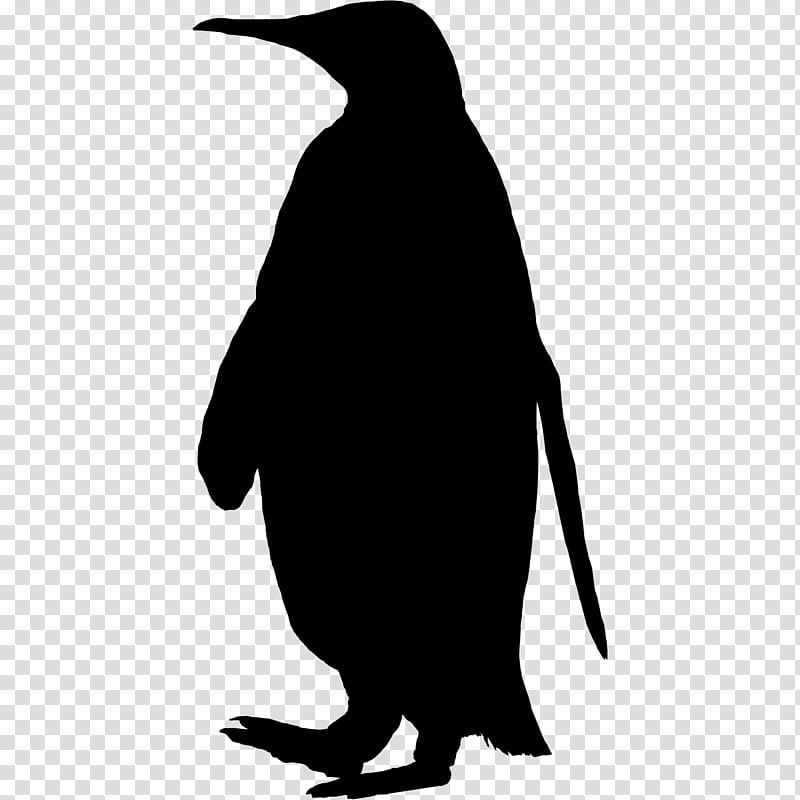 Bird Silhouette, Penguin, Beak, Flightless Bird, King Penguin, Emperor Penguin, Crow transparent background PNG clipart