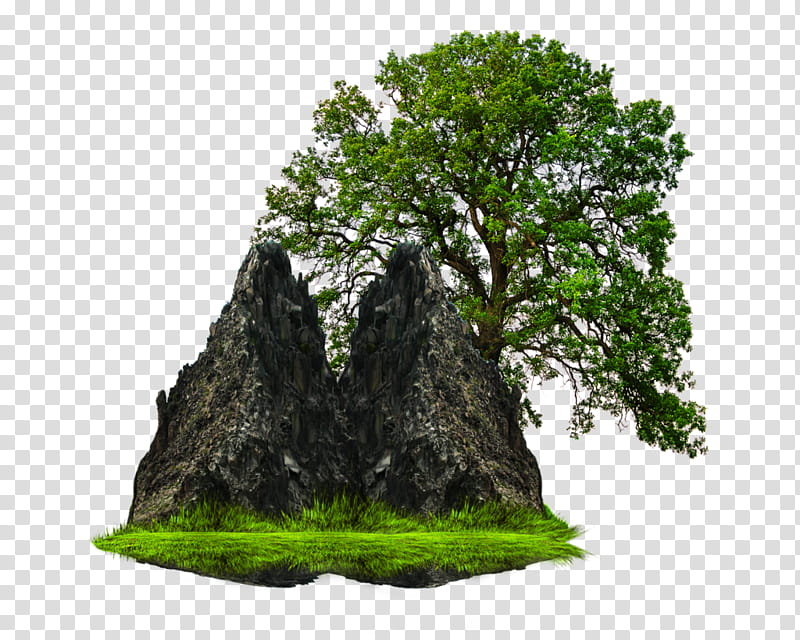 green tree beside rock formations transparent background PNG clipart