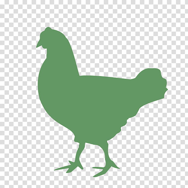 bird chicken green rooster beak, Live, Fowl, Tail transparent background PNG clipart