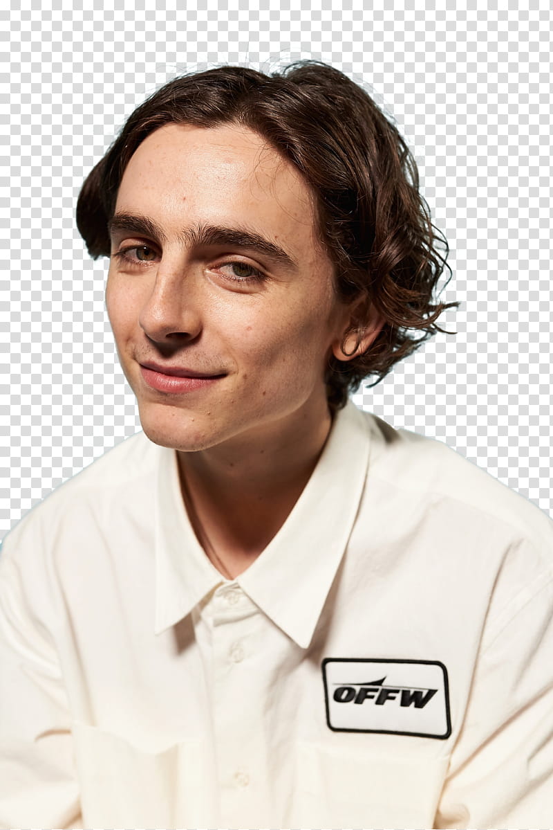 TIMOTHEE CHALAMET,  icon transparent background PNG clipart