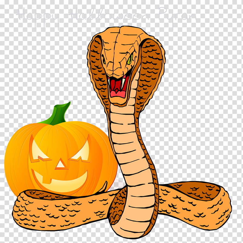 Snake, Snakes, King Cobra, Venomous Snake, Indian Cobra, Drawing, Orange, Elapidae transparent background PNG clipart