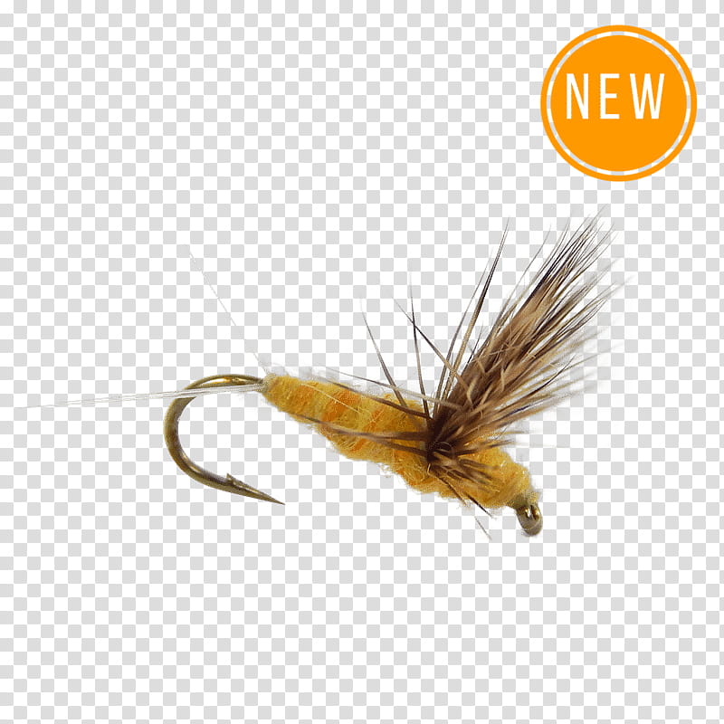 https://p1.hiclipart.com/preview/294/807/586/fishing-cartoon-fly-fly-fishing-dry-fly-fishing-trout-flies-proven-patterns-essential-trout-flies-artificial-fly-mayfly-png-clipart.jpg