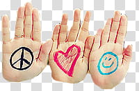Many, three hands transparent background PNG clipart