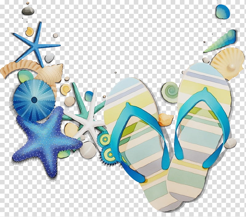 Birthday Party, Flipflops, Seashell, Beach, Gift, Zazzle, Cartoon, Birthday transparent background PNG clipart