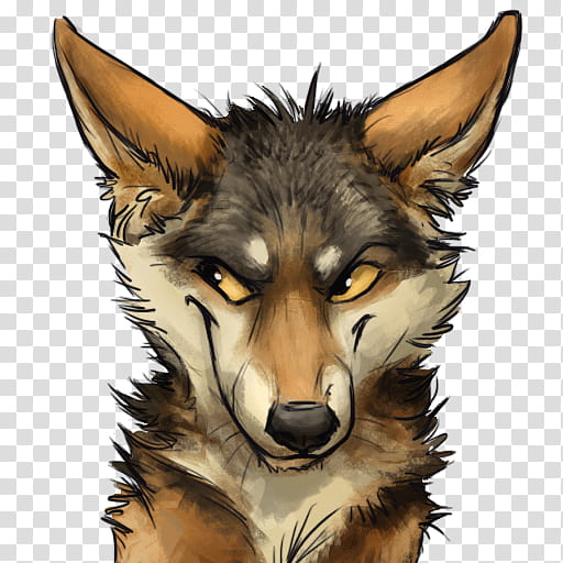 Wolf, Coyote, Dog, Sticker, Red Wolf, Black Wolf, Wolfdog, Jackal transparent background PNG clipart