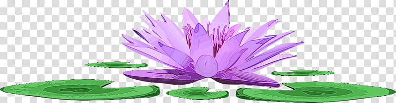 purple petal flower violet plant, Lotus, Watercolor, Paint, Wet Ink, Aquatic Plant, Lotus Family, Water Lily transparent background PNG clipart