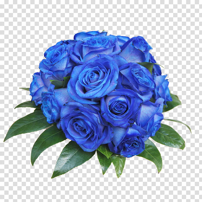 blue rose bouquet transparent background PNG clipart