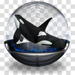 Sphere   , orca whale illustration transparent background PNG clipart