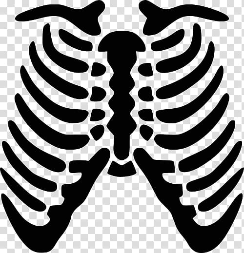 Rib Cage Transparent Background Png Cliparts Free Download Hiclipart - skeleton torso roblox