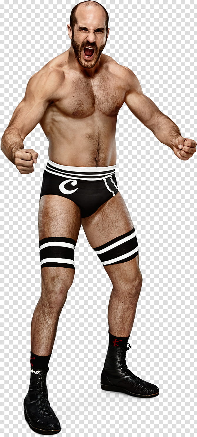 Cesaro  Stats transparent background PNG clipart