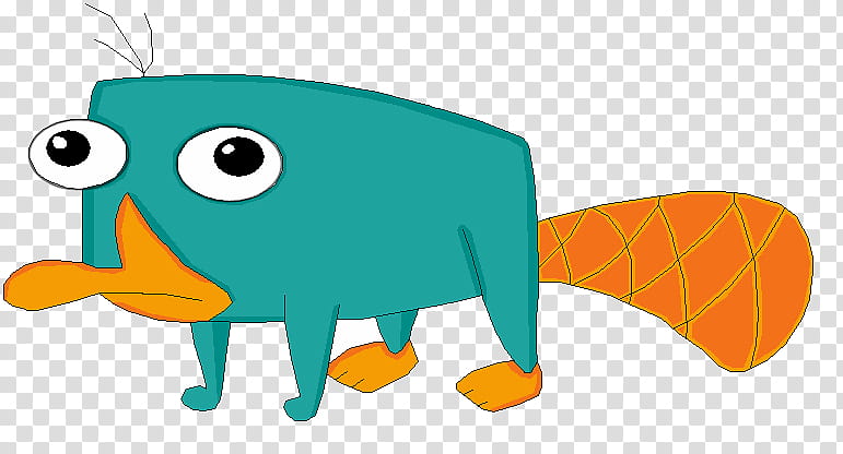 Perry el Ornitorrinco, Perry the platypus illustration transparent background PNG clipart