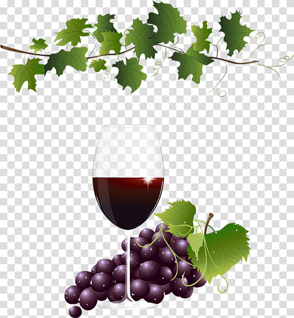 Wine glass, Grape, Grape Leaves, Grapevine Family, Vitis, Red Wine, Plant, Food transparent background PNG clipart