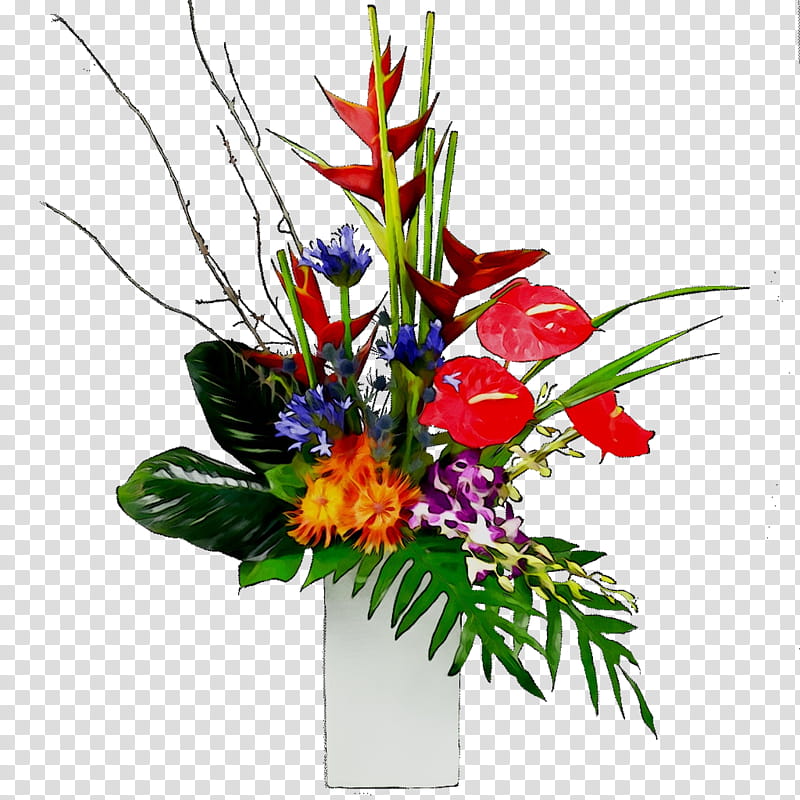 Bird Of Paradise, Floral Design, Cut Flowers, Flower Bouquet, Ikebana, Petal, Plants, Floristry transparent background PNG clipart