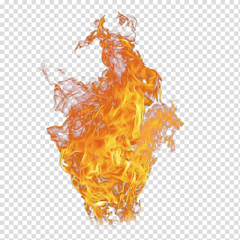 Orange, Flame, Yellow, Fire, Liquid transparent background PNG clipart ...