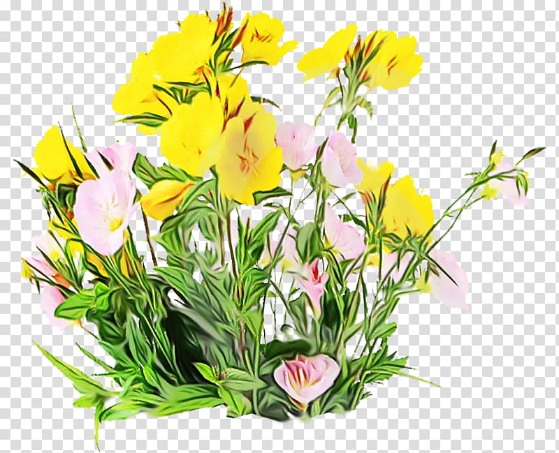 Floral Flower, Blog, Eveningprimroses, Plant, Yellow, Cut Flowers, Petal, Bouquet transparent background PNG clipart