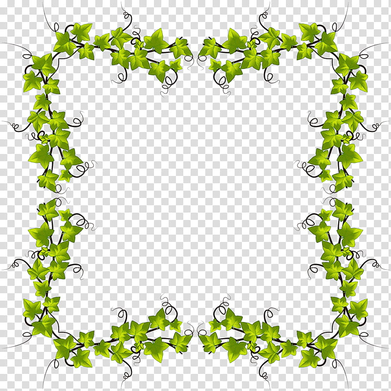Ivy, Green, Leaf, Plant, Vine, Flower, Ivy Family transparent background PNG clipart
