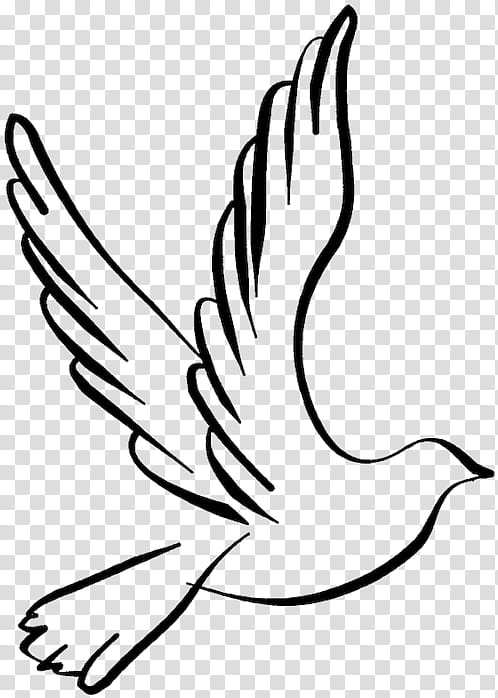 Book Black And White, Pigeons And Doves, Drawing, Bird, Line Art, Release Dove, Peace Symbols, Columbiformes transparent background PNG clipart