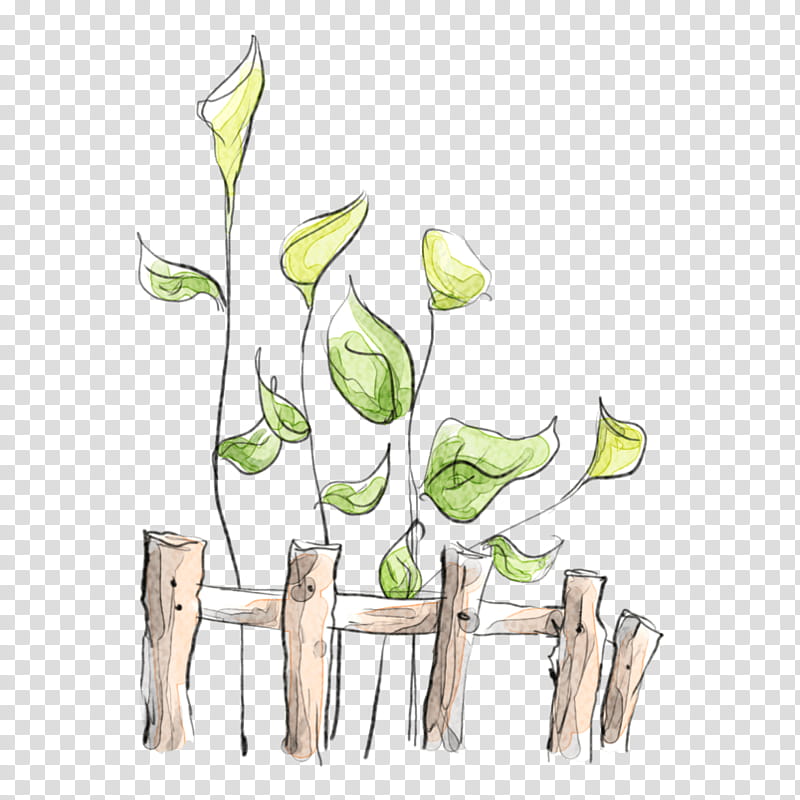 Drawing Of Family, Fence, Croquis, Painting, White, Arum, Flower, Plant transparent background PNG clipart