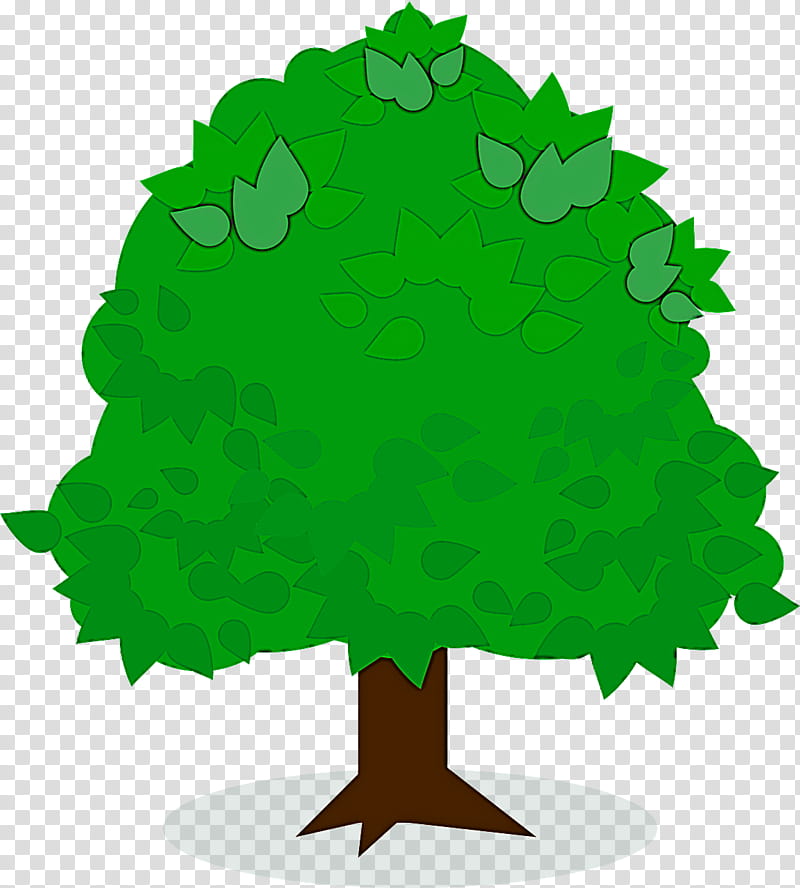 Arbor day, Green, Leaf, Tree, Plant, Woody Plant, Grass, Plane transparent background PNG clipart