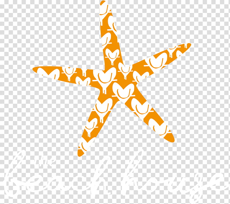 Orange, Columbus, Mclaren Vale, Starfish, Project, User Experience, Biscuits, South Australia transparent background PNG clipart