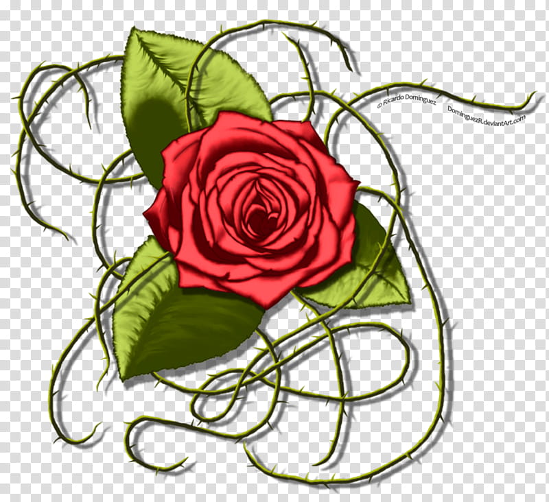 Bouquet Of Flowers Drawing, Floral Design, Garden Roses, Cabbage Rose, Cut Flowers, Flower Bouquet, Petal, Design M Group transparent background PNG clipart