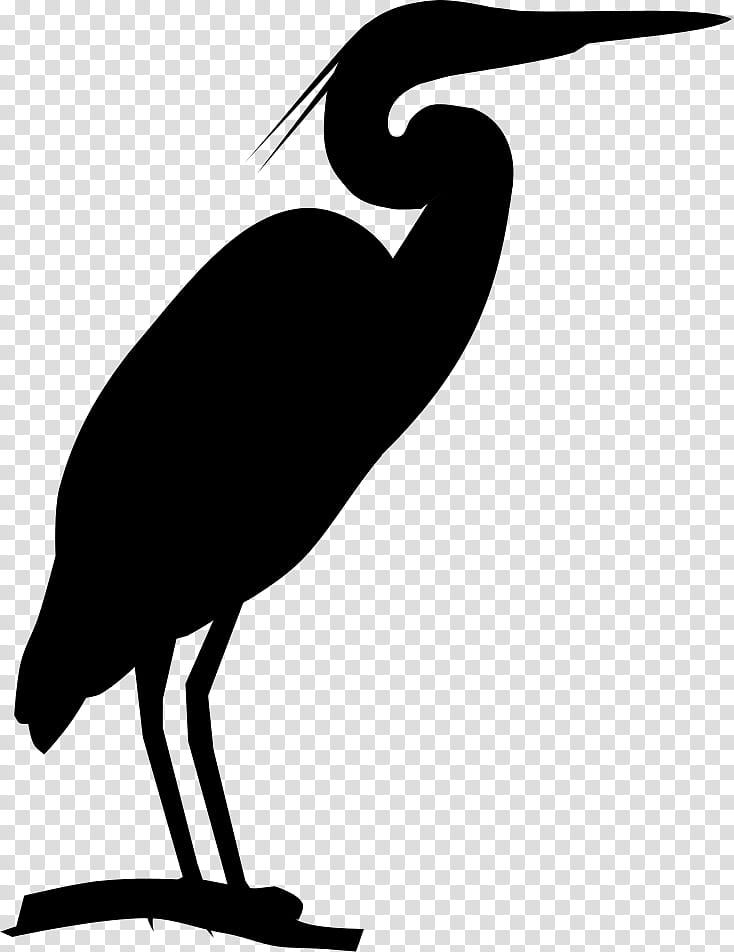 Crane Bird, Beak, Silhouette, Line, Water Bird, Cranelike Bird, Heron, Ibis transparent background PNG clipart