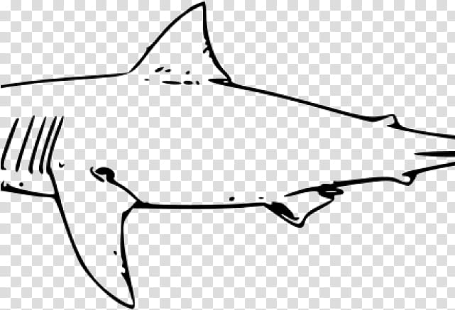 Great White Shark, Line Art, Tiger Shark, Drawing, Shark Finning, Hammerhead Shark, Fish, Lamniformes transparent background PNG clipart
