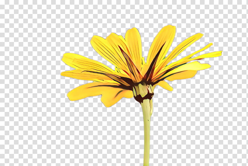 African Family, Cartoon, Dandelion, Transvaal Daisy, Cut Flowers, Plant Stem, Yellow, Plants transparent background PNG clipart