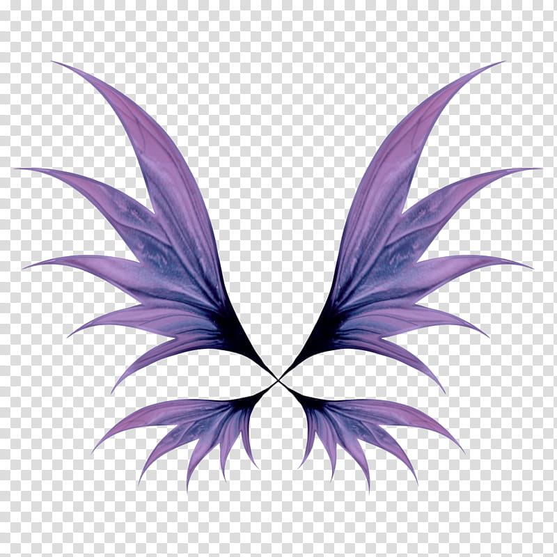 All Of A Flutter, purple wings illustration transparent background PNG clipart
