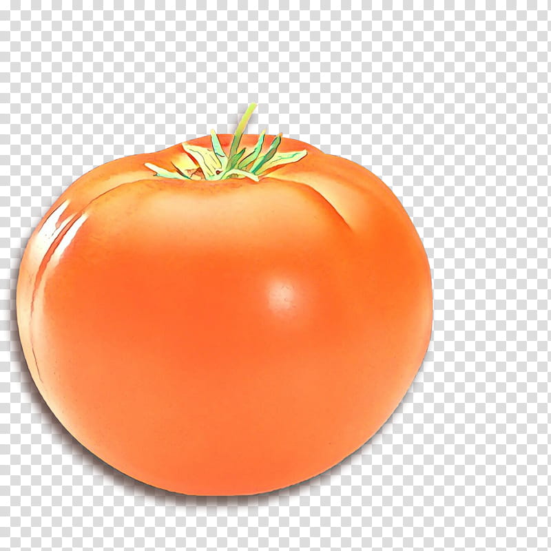 Orange, Cartoon, Natural Foods, Tomato, Solanum, Fruit, Vegetable, Plant transparent background PNG clipart