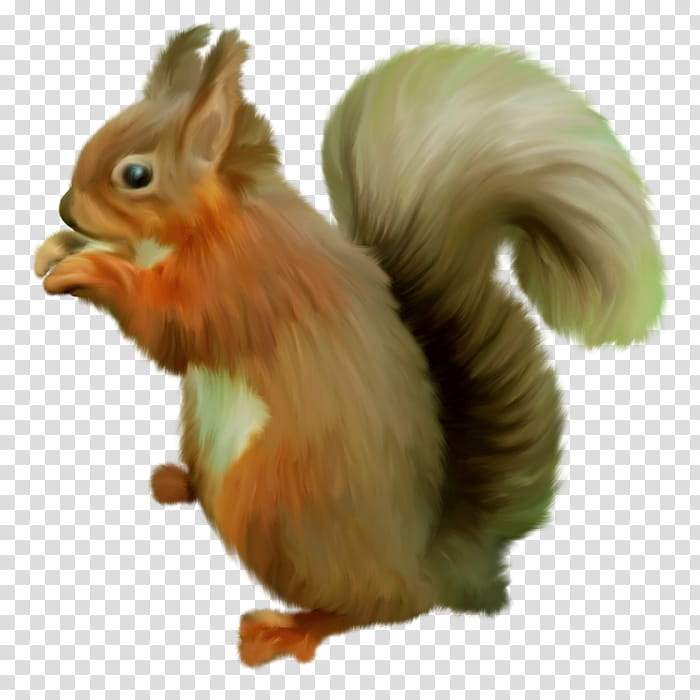 Squirrel, Chipmunk, Scrat, Tree Squirrel, Sciurinae, Alvin And The Chipmunks, Drawing, Eastern Gray Squirrel transparent background PNG clipart
