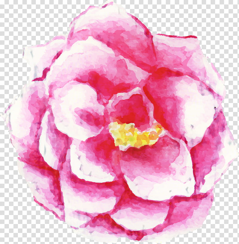 Flower Art Watercolor, Watercolor Painting, Rose, Drawing, Japan, Pink, Artist Trading Cards, Urinesteen transparent background PNG clipart