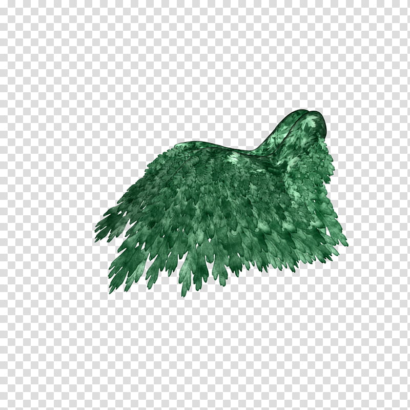 Free Resourc Leaf Wing, green graphic transparent background PNG clipart