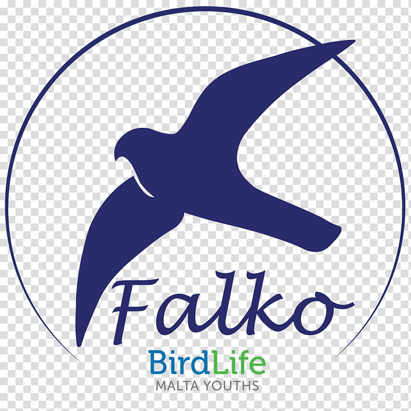 Dolphin, Birdlife Malta, Logo, Birdlife International, Natural Environment, Fish, Beak, Line transparent background PNG clipart