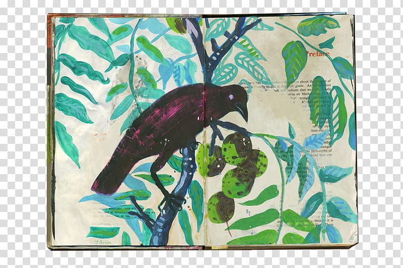 Cartoon Nature, Sketchbook, Beak, Painting, Feather, Teal, Recycling, Bird transparent background PNG clipart