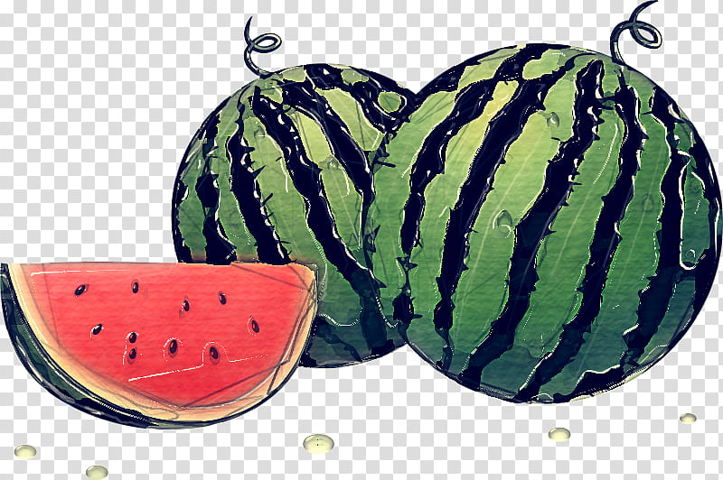 Watermelon, Cucumber Gourd And Melon Family, Citrullus, Fruit, Plant, Vegetable, Food, Cucumis transparent background PNG clipart