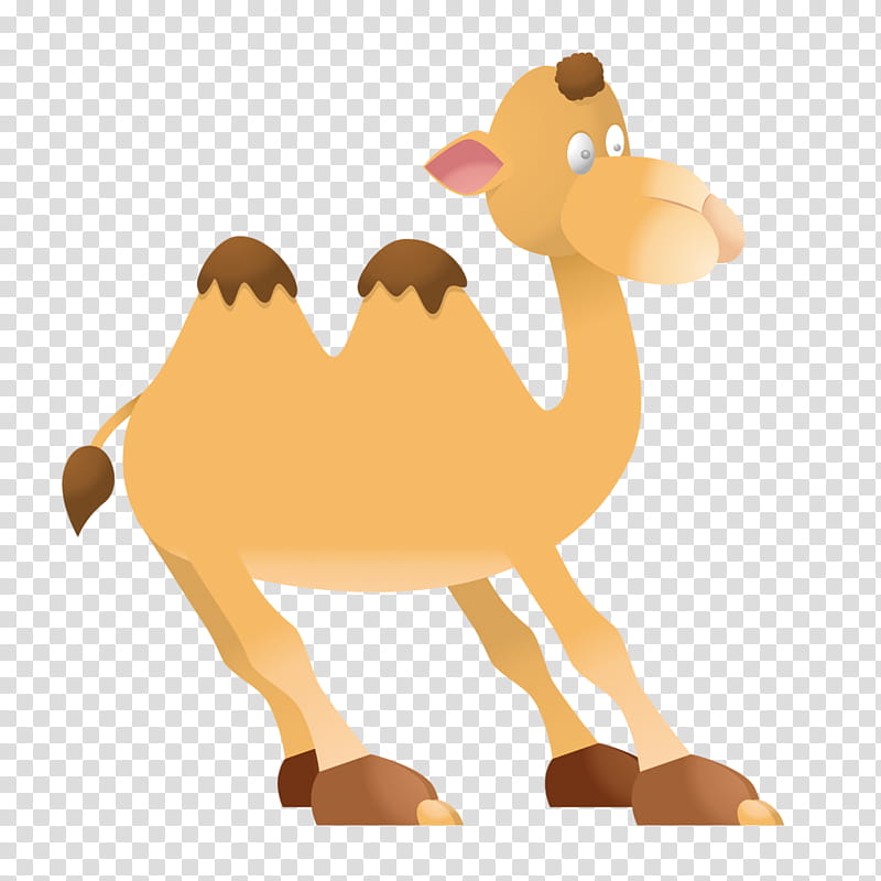 Llama, Dromedary, Bactrian Camel, Animal Silhouettes, Horse, Education
, Camel Like Mammal, Arabian Camel transparent background PNG clipart