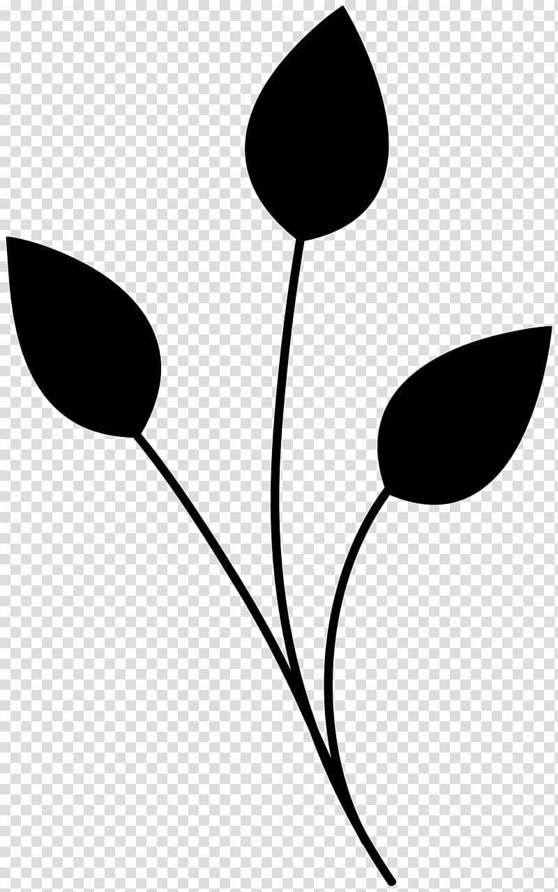 shop Shapes Flowers, black leaf illustration transparent background PNG clipart