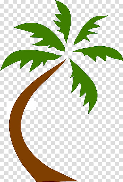 Coconut Tree Drawing, Palm Trees, Date Palm, Palm Branch, Logo, Leaf, Woody Plant, Plant Stem transparent background PNG clipart