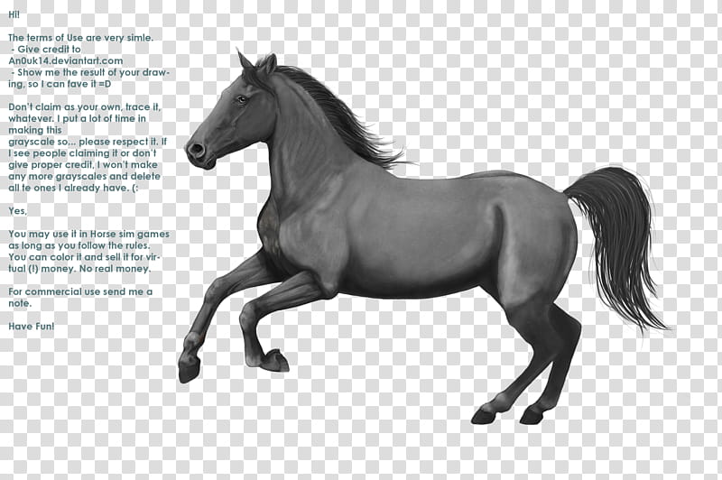 Canter, horse illustration transparent background PNG clipart