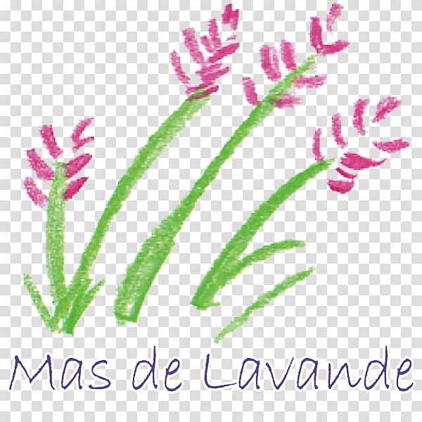 Paper Clip, French Cuisine, Lavender, Plants, Plant Stem, Line, Fad, Essence transparent background PNG clipart