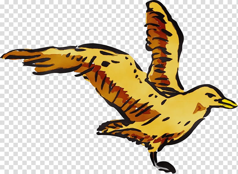 bird beak yellow wing, Watercolor, Paint, Wet Ink, Wildlife, Falconiformes, Animal Figure, Peregrine Falcon transparent background PNG clipart