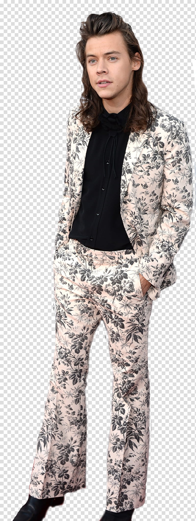 Harry Styles , SelenaPurpleewDirect () transparent background PNG clipart