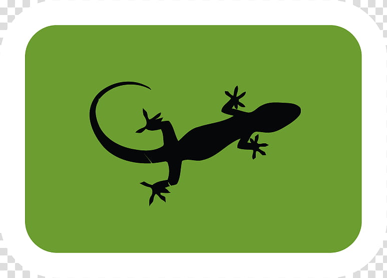 Frog, Gecko, Lizard, Reptile, Common Iguanas, Common Leopard Gecko, Reptiles And Amphibians, Leopard Geckos transparent background PNG clipart